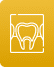 Teeth X-ray Icon